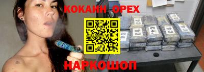 скорость Новозыбков