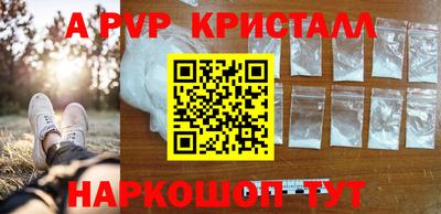 скорость Новозыбков