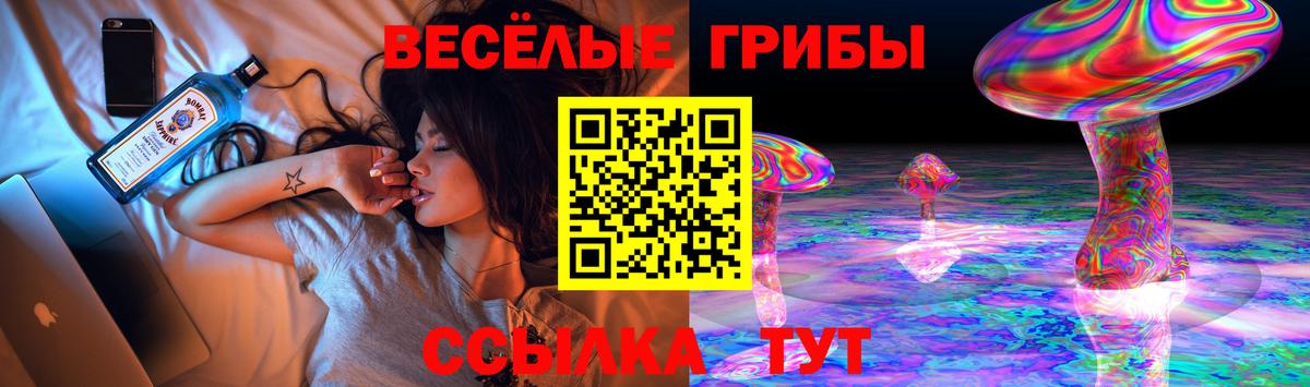 Саранск  Псилоцибиновые грибы Psilocybe  Галлюциногенные грибы Cubensis  Вход с VPN 